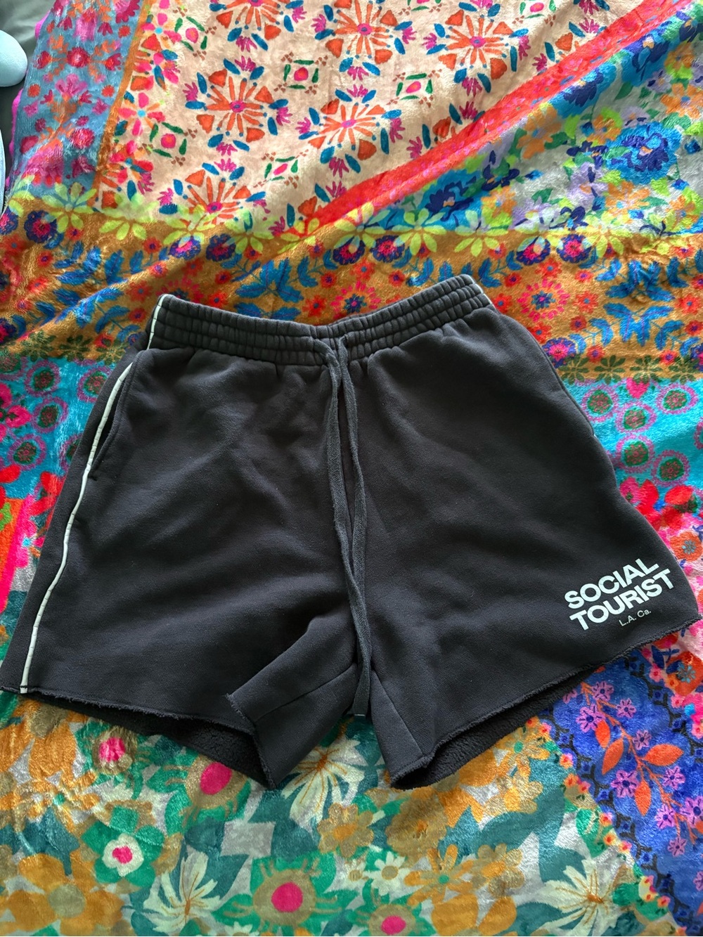 Social Tourist Black Logo Sweat Shorts